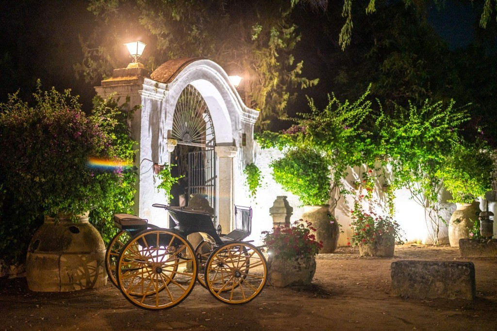 1780991447_elf-sevilla-370.jpg